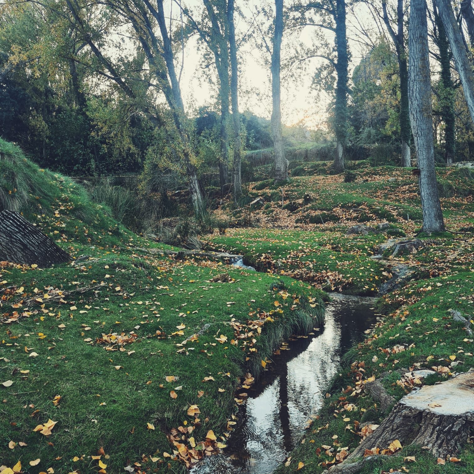 Río Monlleó en otoño cerca de La Llar del Maestrat