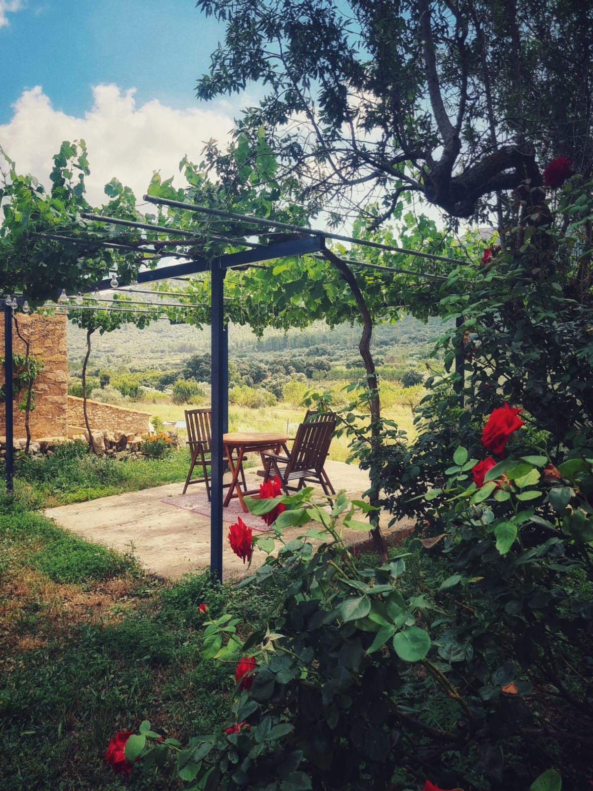 Terraza de La Llar del Maestrat